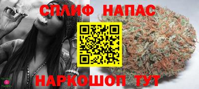 сатива Бердск