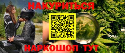 сатива Бердск