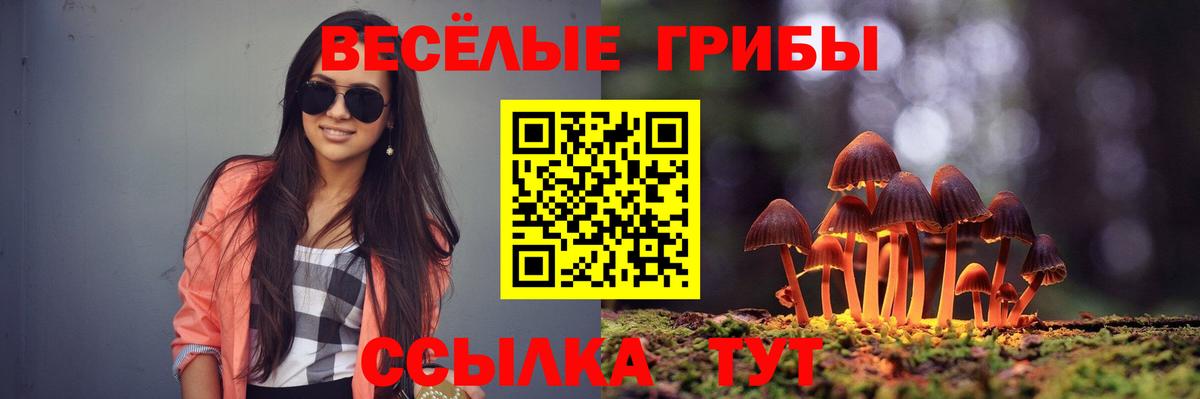 Псилоцибиновые грибы мицелий  Галлюциногенные грибы мицелий  Сарапул  Вход с VPN 